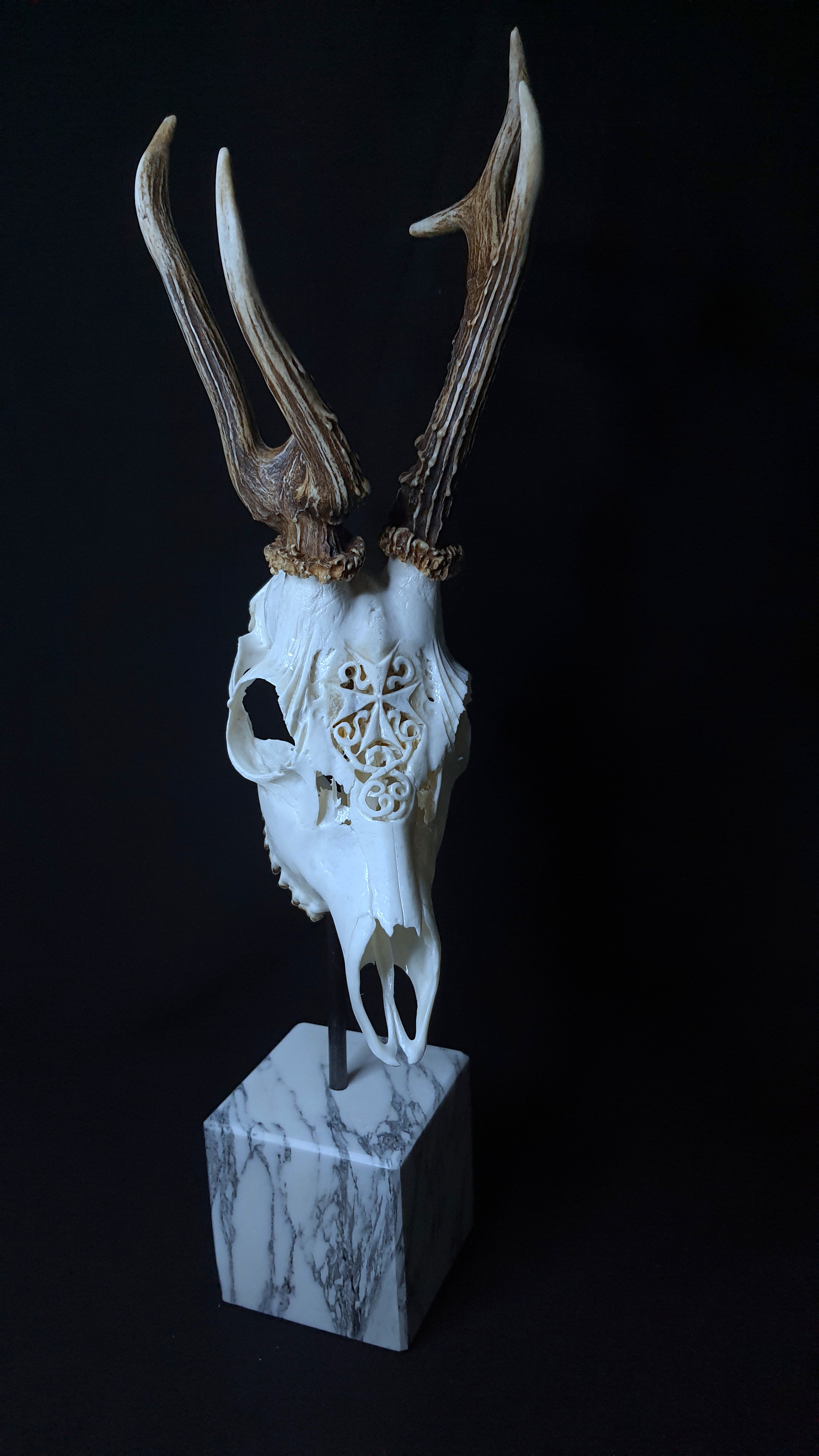 Trofeu de caprior sculptat manual
