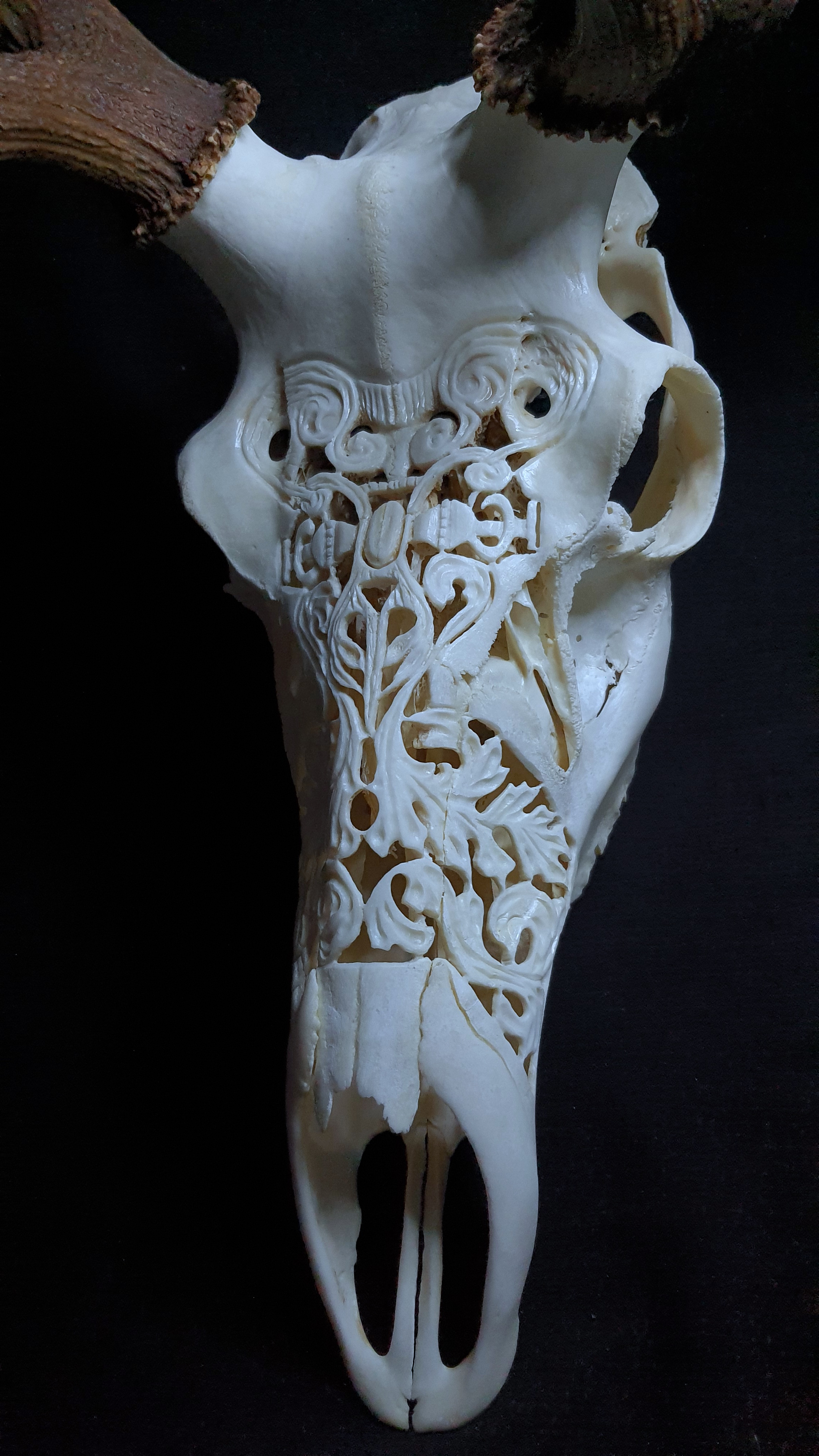 Trofeu cerb sculptat manual
